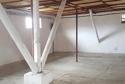 Inchiriere Hala pentru depozitare orei productie Alexandria Soseaua de Centura - 3
