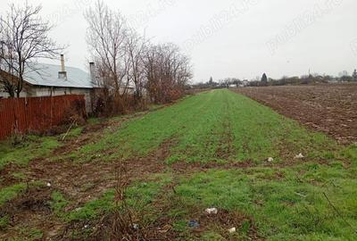 Teren de 3000 mp, în Dărăști-Vlașca - 2