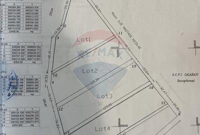 Teren agricol extravilan de 4350 mp, în Vasilați - 6