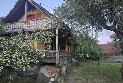 Casă individuală cu 2 camere cu Teren 7769 Mp în Budieni - 12