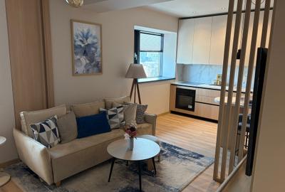 Apartament cu 2 camere, mobilat în P-ța Unirii - 2