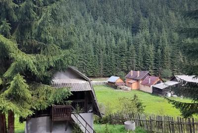 Teren de 1790 mp, în Central - 10