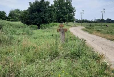 Teren de 4900 mp, în Boldești - 3