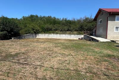 Spațiu comercial, în Dragodana - 1