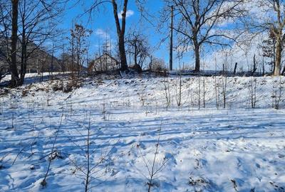 Teren intravilan de vanzare in Bran - 13