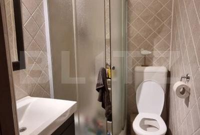 Apartament cu 3 camere decomandat în Iosefin - 12