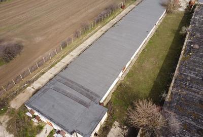 Teren de 25000 mp, în Călacea - 4