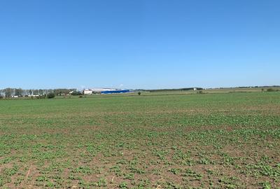 Vanzare  Teren Extravilan Suprafata  12,8 Hectare Necomasat  Afumati DJ200A - 2