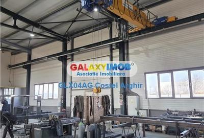 Spațiu comercial, de 1,100 mp, în Dârmănești - 9