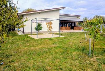 Casa moderna tip Mexi, eficienta energetic, in cartierul Balcescu - 10