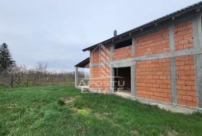 Casa individuala cu 5 camere,teren de 480mp,la rosu,Peciu Nou - 12