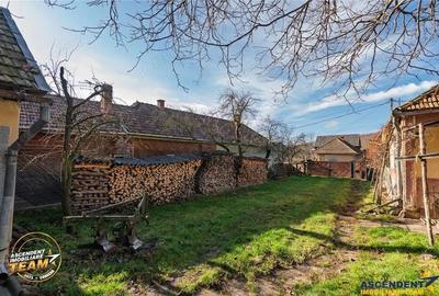 FILM! Casa si anexe, pe domeniu de 6.221mp, livada pomi fructiferi, Lemnia, Covasna - 20