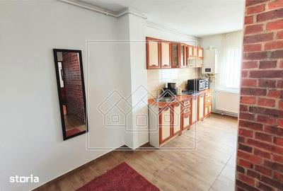 Apartament cu 2 camere decomandat în Turnișor - 6