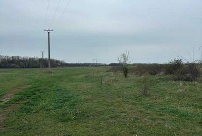 Teren de 5000 mp, în Bănești - 3