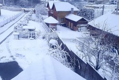 Casa individuala 3 camere, 130 mp, teren 660 mp, Salicea - 10