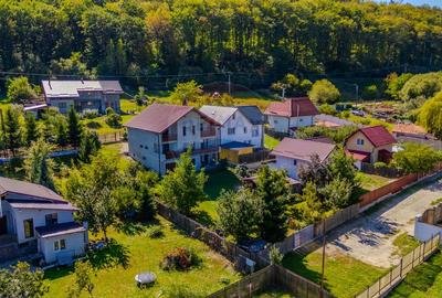 Casa de vanzare 7 camere | CURTE 953 mp | Colonia 1 Mai | COMISION 0 | - 29