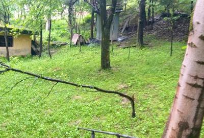 Casă cu 3 camere în Bumbești-Jiu - 1