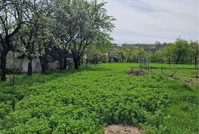 Casă cu 3 camere în Burlești - 1