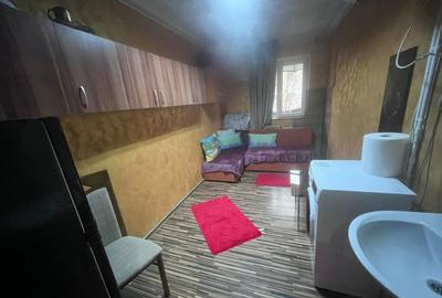 Camera de camin, 10.51 mp, zona Valea Rosie - 2