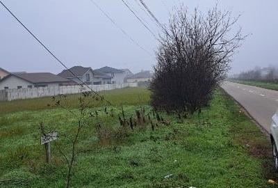 Teren Construcții intravilan de 5000 mp, în Malu Mare - 5
