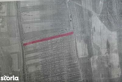 Teren de 2399 mp, în Ceuaș - 8