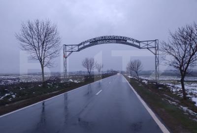 Teren Construcții intravilan de 17000 mp, în Ghercești - 2