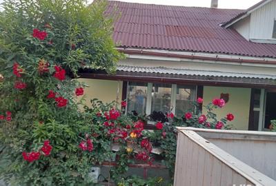 Casă cu 2 camere cu Teren 240 Mp în Sighetu Marmației - 9