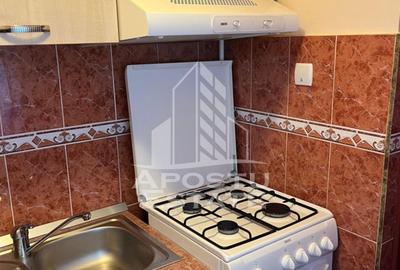 Apartament cu 2 camere nedecomandat, mobilat în Dacia - 7