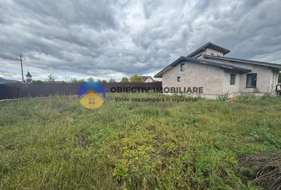 Casa+ teren de vanzare Dumbrava Rosie - 4