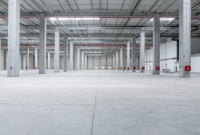 Spațiu industrial, 249500 mp în Chitila - 4