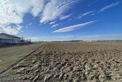 Domnesti, Teghes, teren in suprafata de 21278mp, deschidere 41ml, gaz si curent. - 7