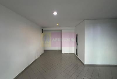 Proprietate specială, de 800 mp, în Theodor Pallady - 11