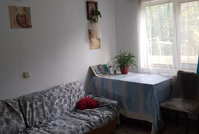 Casă cu 5 camere cu Teren 1700 Mp în Bucium - 10