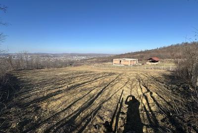 Spațiu comercial, în Vlădiceni - 7