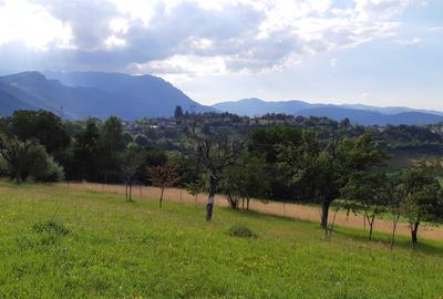 Spațiu comercial, în Bran - 8