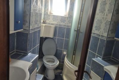 Apartament de chiriat 3 camere - 11