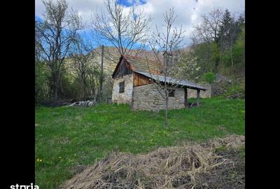 Teren de 3000 mp, în Certeju de Sus - 14