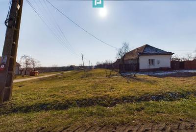 Casă cu 5 camere cu Teren 3140 Mp în Tormac - 18