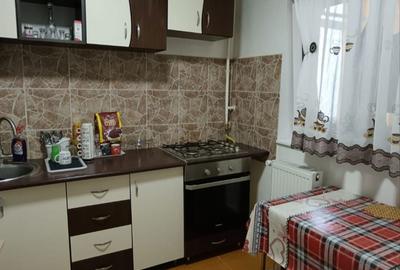 Apartament cu 2 camere decomandat în Lacu - 6