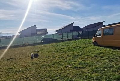 Vând teren Sânpetru Brașov cu utilități - 9