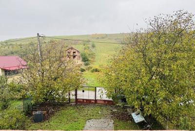 Casa individuală 2 camere in Dezmir - 3