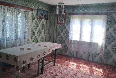 Casă cu 3 camere în Poieni (Densuș) - 4