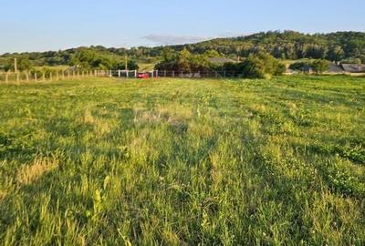 Teren 1,495mp Dobreni / Strada Parau Almas - 28