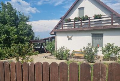 Comuna Sarata! Casa-spectacol! Casa in care vei scrie povesti! - 18