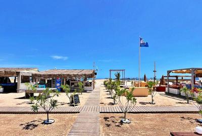 VEDERE FRONTALA LA MARE - BOUTIQUE CITADEL EFORIE - 150.36 - 14