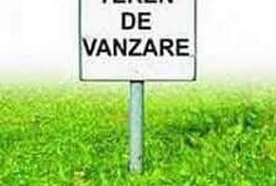 Teren de 2100 mp, în Peciu Nou - 1