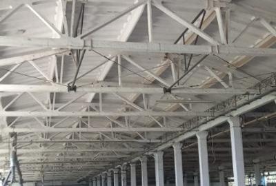 Activ de vanzare la 10 Km de Municipiul Braila ,3 Km de Dunare - 1