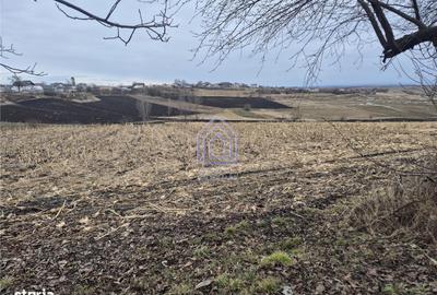 Teren de 2000 mp, în Moara