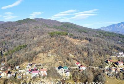 Teren de 1231 mp, în Călimănești - 7