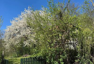 Casă cu 4 camere în Valea Stâlpului - 1